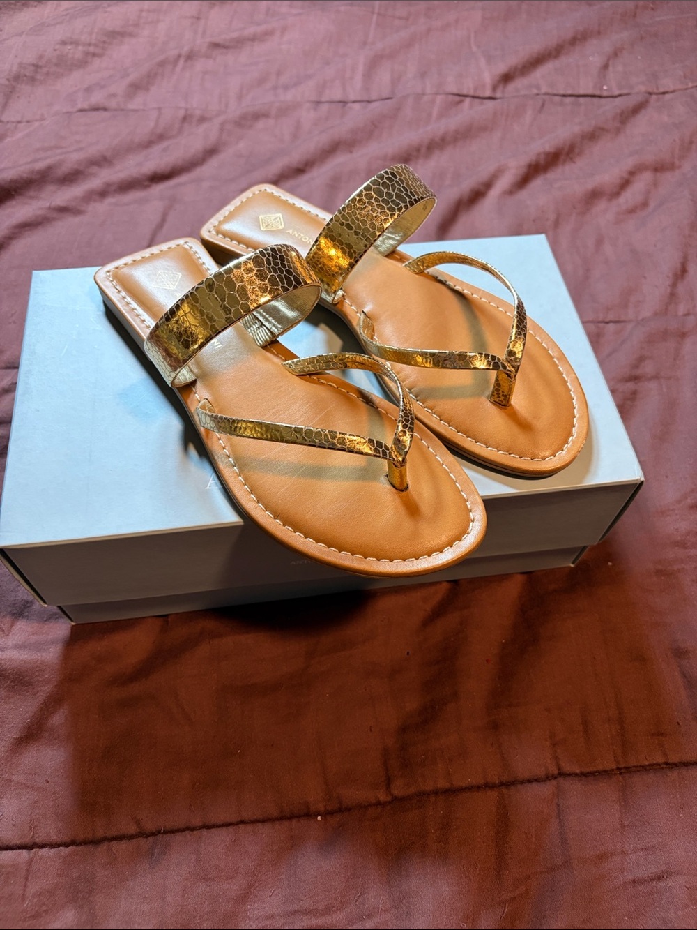Flat Gold Sandals by Antonio Melani.  EUC!